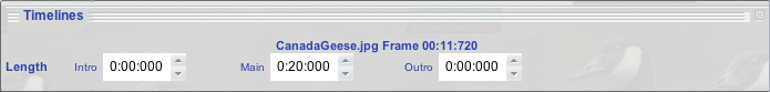 ../../../images/FrameTimelineHUD.png