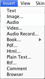 ../../../images/InsertMenu.png